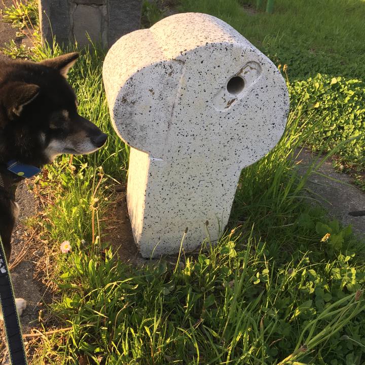 565b04a4 055d 4953 901d d69d5a7e40db