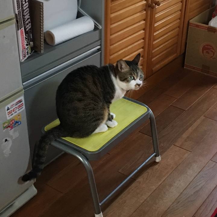 565b088f 2977 4615 affa 89652dd650b6