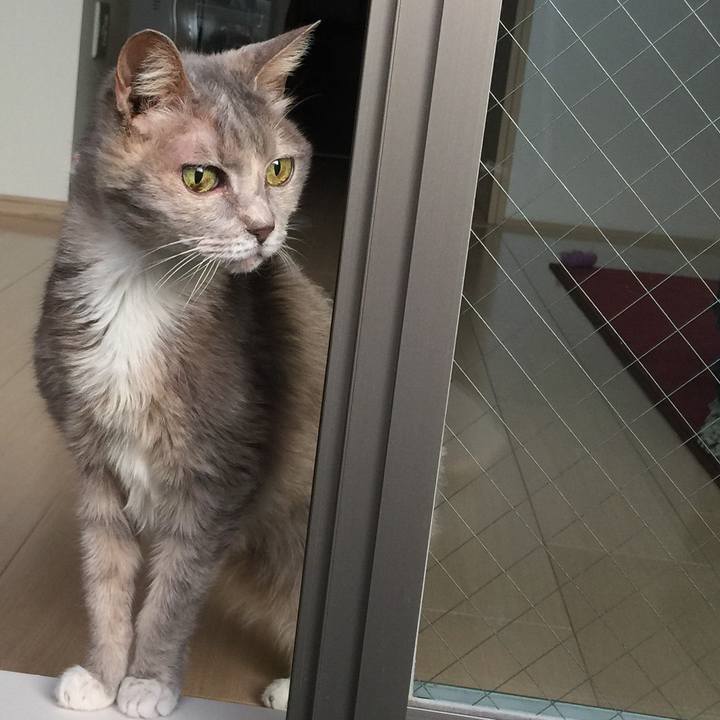 565b5e58 49f3 481a 99de e0a10ccb6ebf