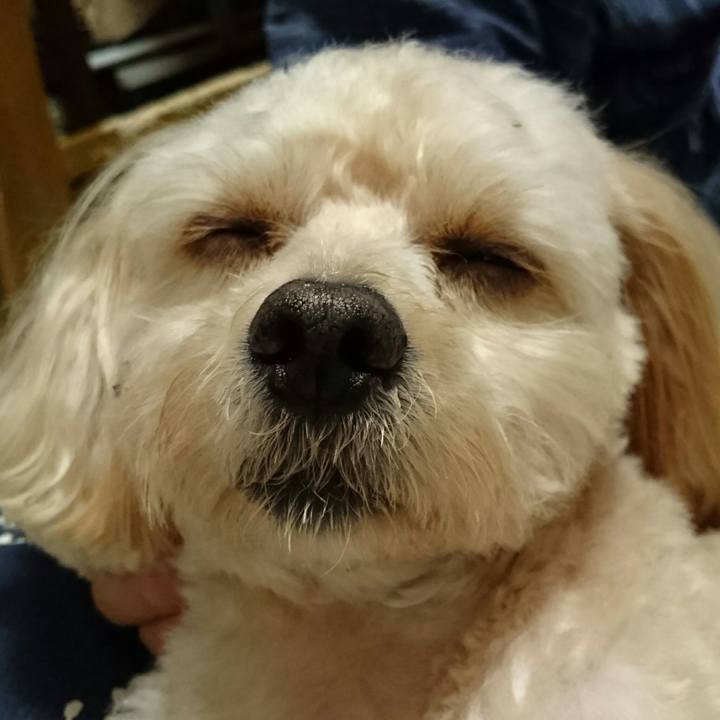 565bde2c 26bb 46b2 9eb3 86b70cfdeba1