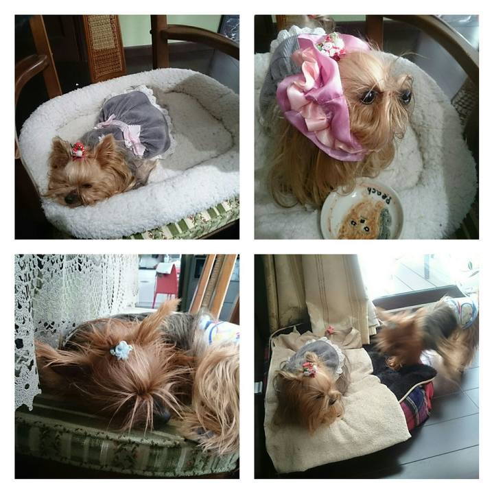 565c7737 1cb8 464b 9dd1 5a2bcc864a02