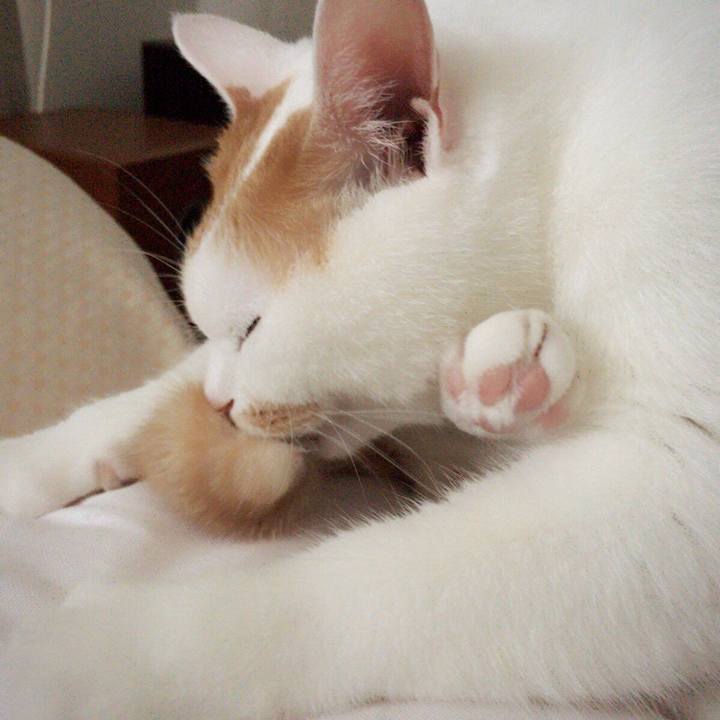 565cf36e 2a55 4074 878e bfa2b2284c9a