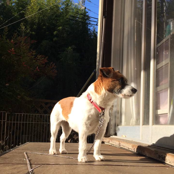 565d0c28 b180 4488 830e 9d307373438a