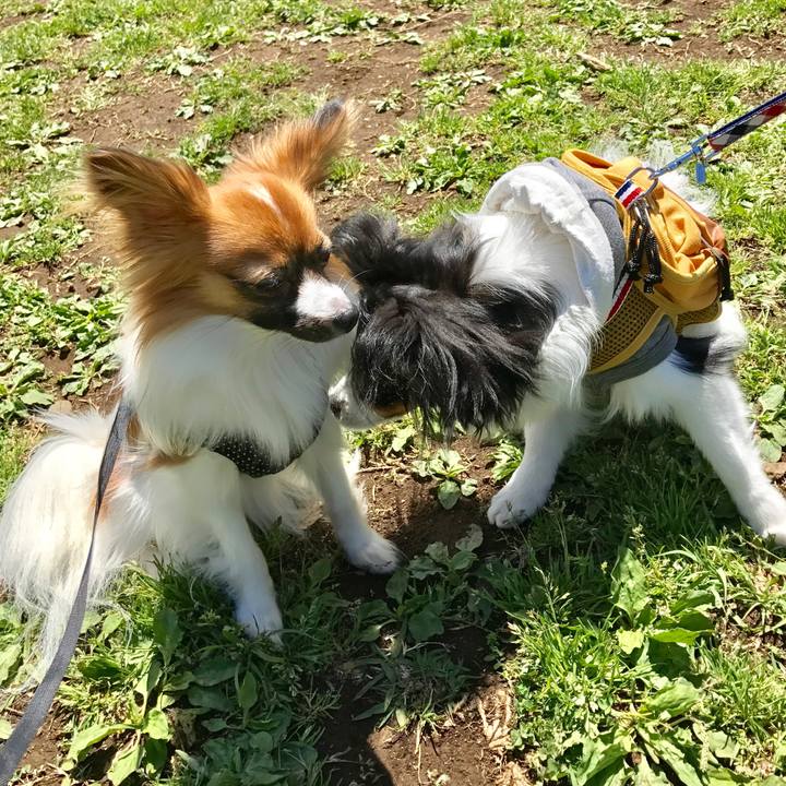 565dd429 3d2c 49bb bdfa 1729b8e7b727