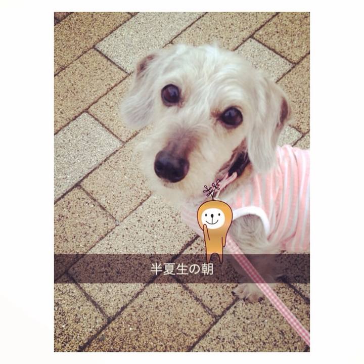 565f9071 8da0 4b28 baff 3f6175d29e9e