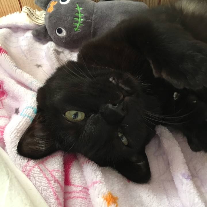 56604253 685c 4549 9726 a61e58521c53