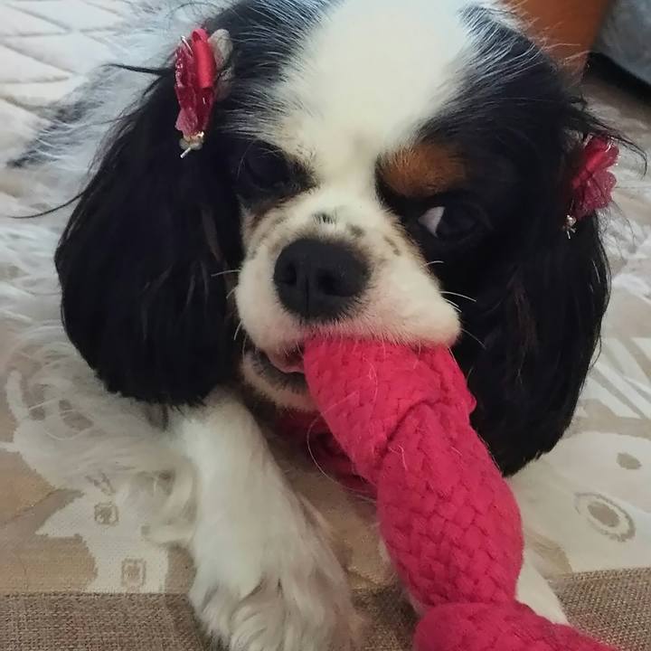 56604a43 0335 4bbf bc3c 4ae98ab46bdf