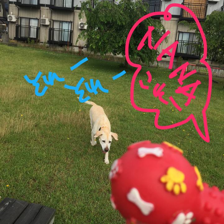 566081f3 0c92 40b3 8143 6fe5ef31371e