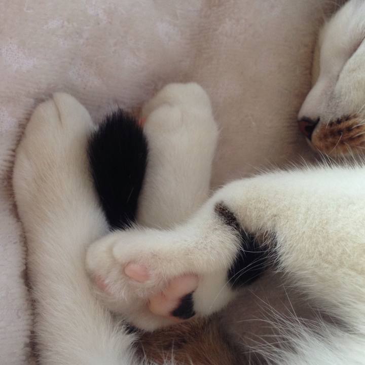 5660b411 e981 460a 8fd0 8b417a075bcb