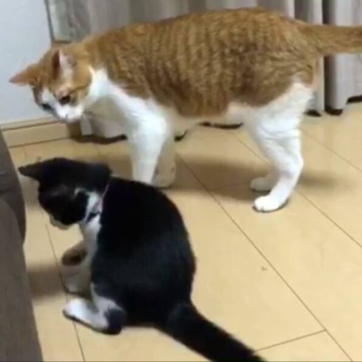 5660bc6b 7d7d 4cec b61e 026bf3e7b6bd