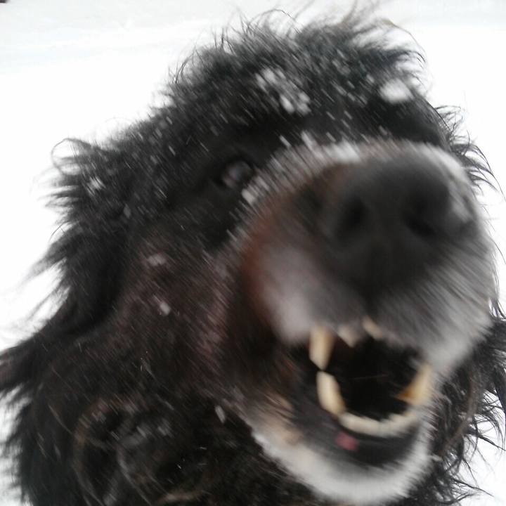 5660fbe5 c423 4b79 9148 57c4683edb22