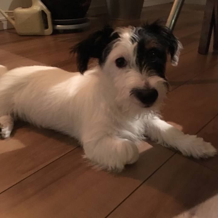 56612560 9526 4116 9e5b 77054928db79