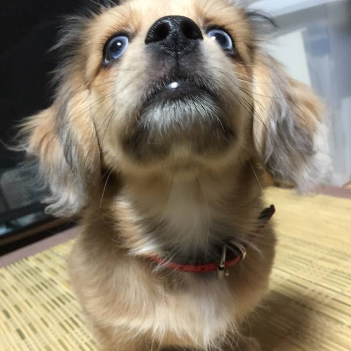 5661c233 6e27 4aab 9a01 6b2598247973