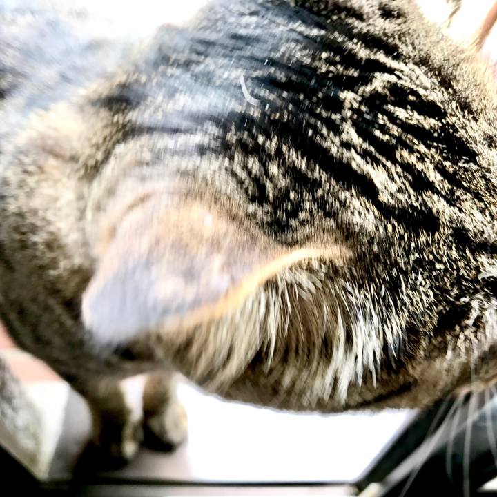 5661ea38 82eb 478f 81c7 401d4a0ff16c