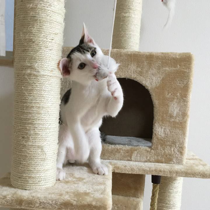 5661f390 9e11 4e2e 85f6 ba720d78ebac