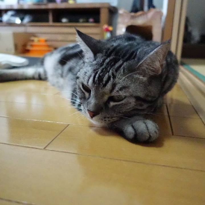 56621179 76fb 4f73 b673 cf9cd71a7dee