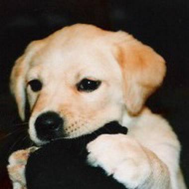 566228fe 6344 45ca 9c43 08f5c4cbd026