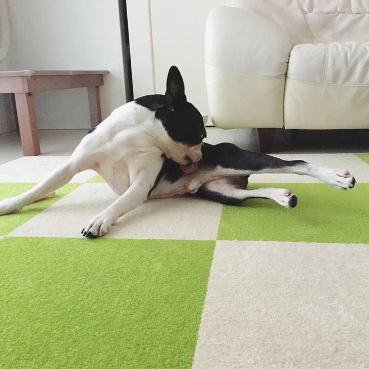 56624d58 0f3e 48f0 a903 ebb0f9eeae2f