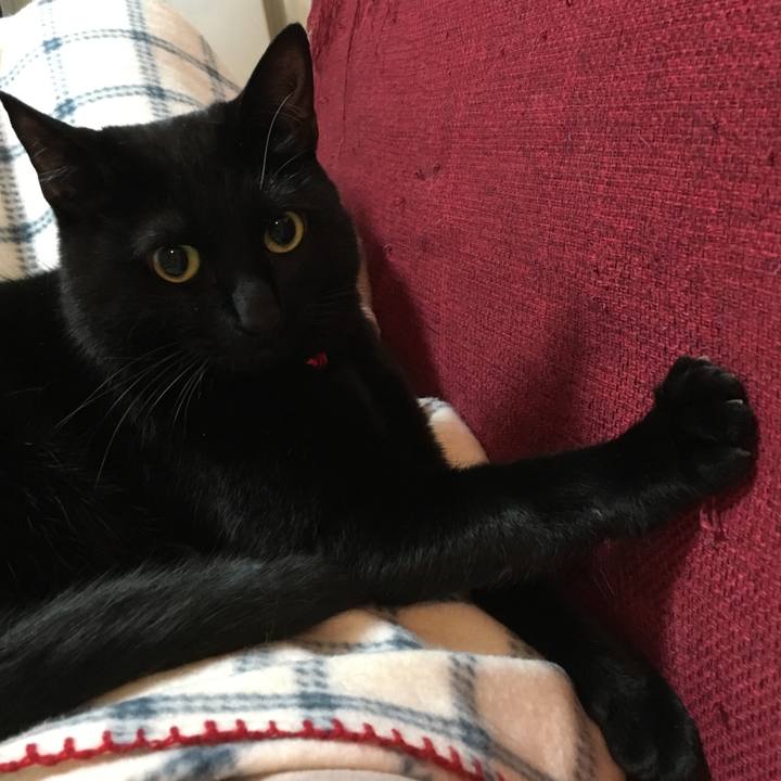 566291a1 04de 4911 b873 86ddca27a263