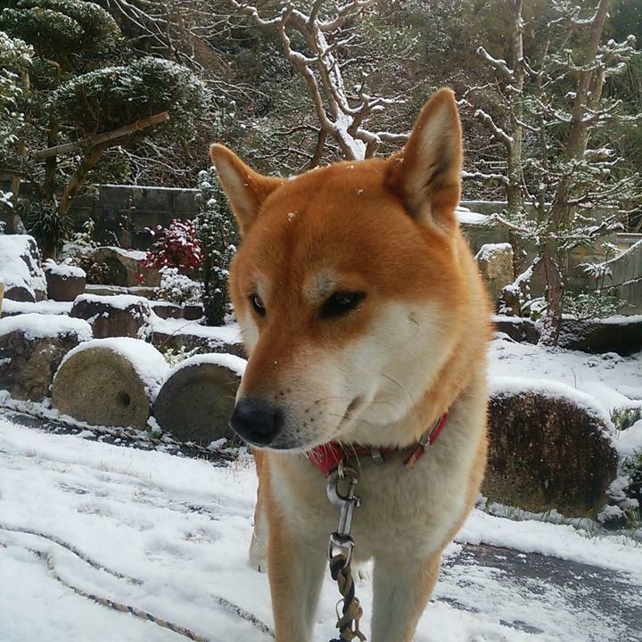 5662b5be 6efe 4d40 84a0 e2ba14866531