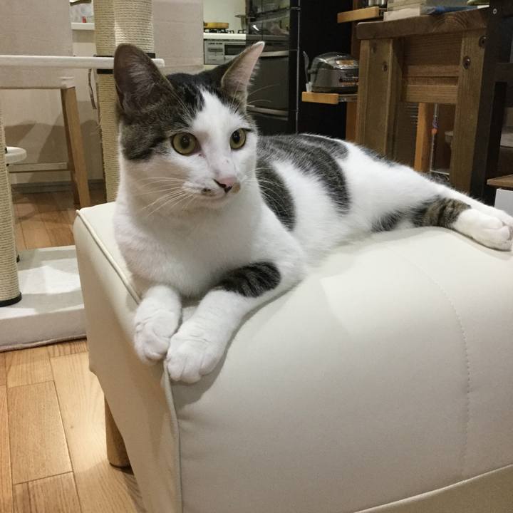 56632e5a ad20 4765 a97b 14bf7b06d7a8