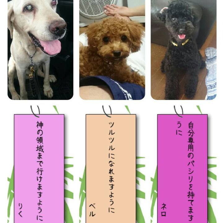 56640ebe 8e2f 41c5 b987 abc8b1122c2a