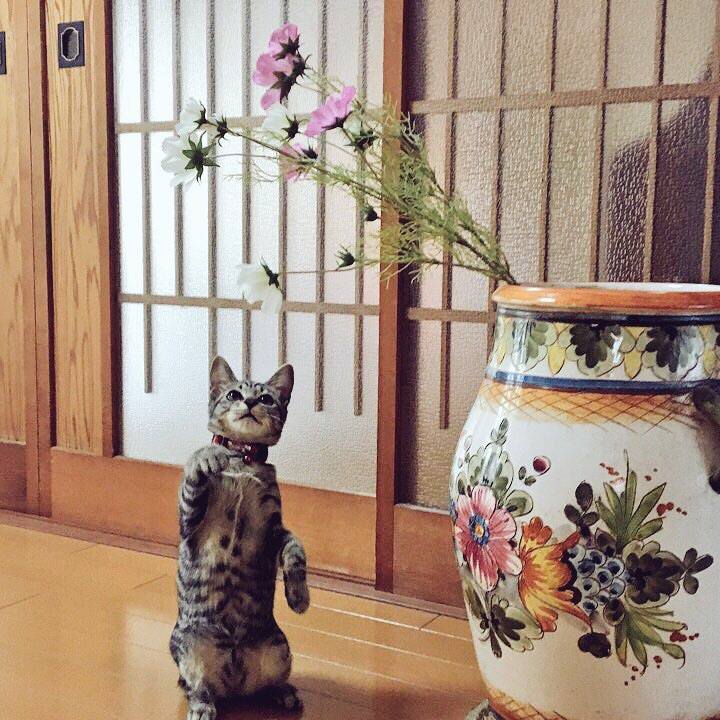 56641580 b7ff 458c 8a6c 34d8a45e9962