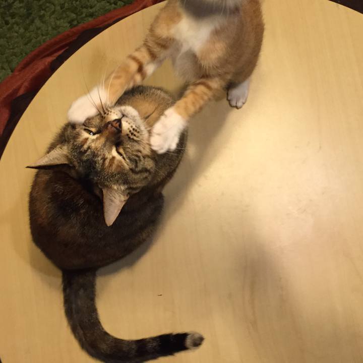 5664a7ed 5af3 4903 b7c0 826c1b31d514