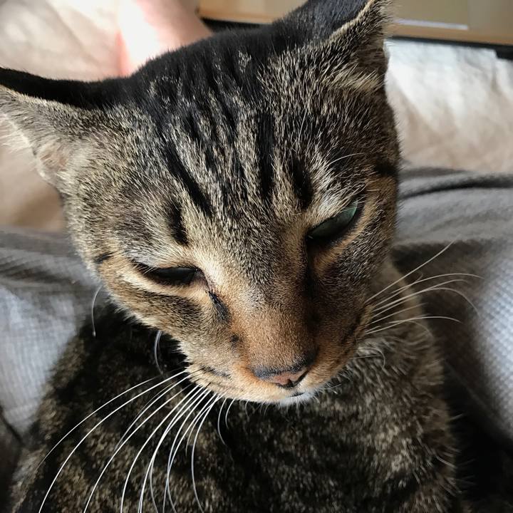 5664e984 a424 4341 8943 db952e23a342