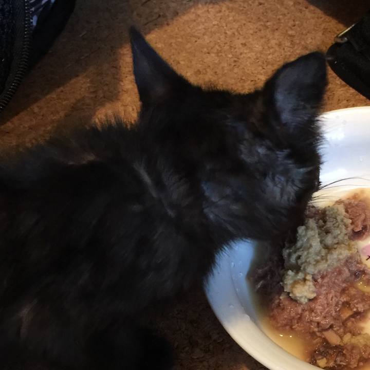 5664f92c e893 4191 93a1 01568ed1ddd3