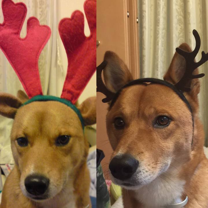 5664f932 0ffd 4790 af7d b3fc088344fb