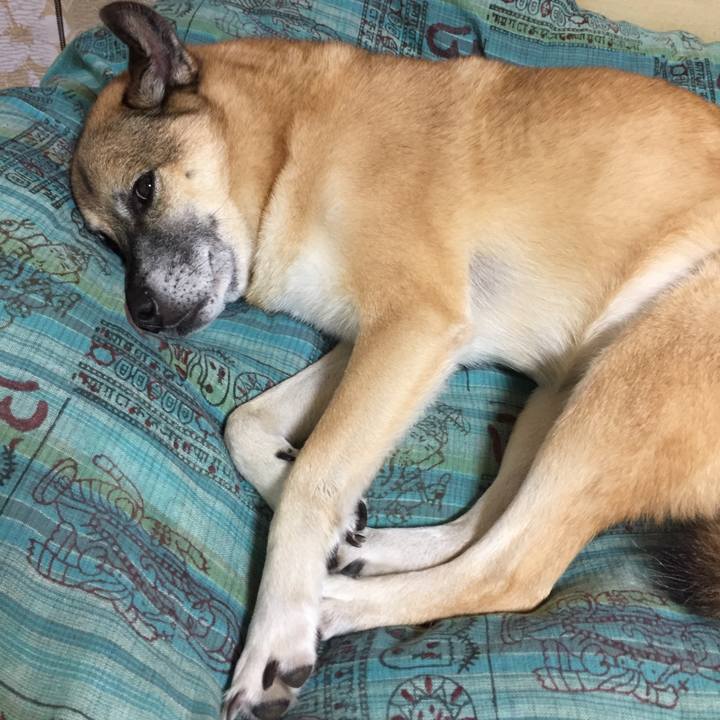 56658f79 6716 40ae 8bd7 4626c338b252