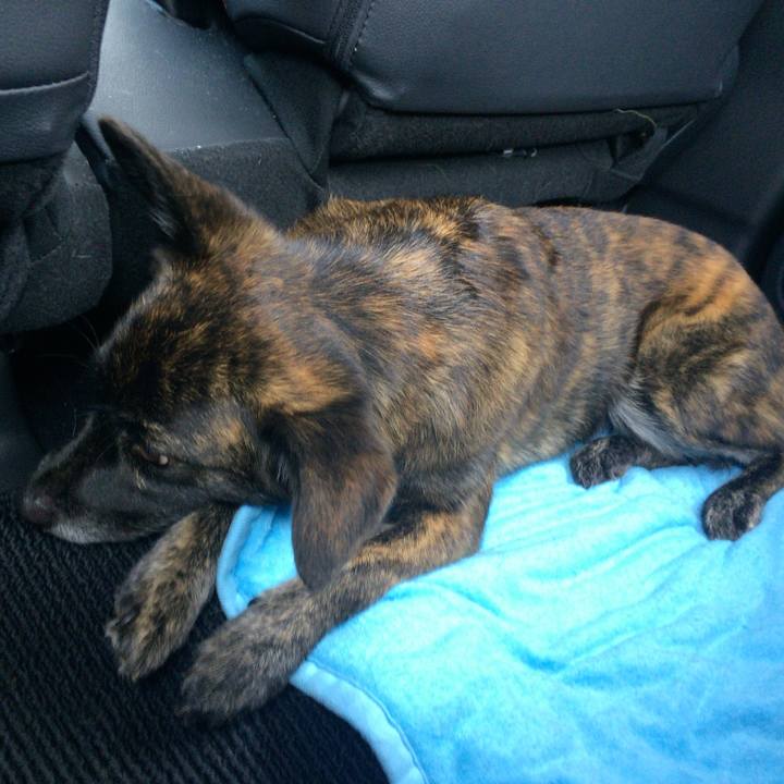 566601fc d055 440a be5f 0330be15896e