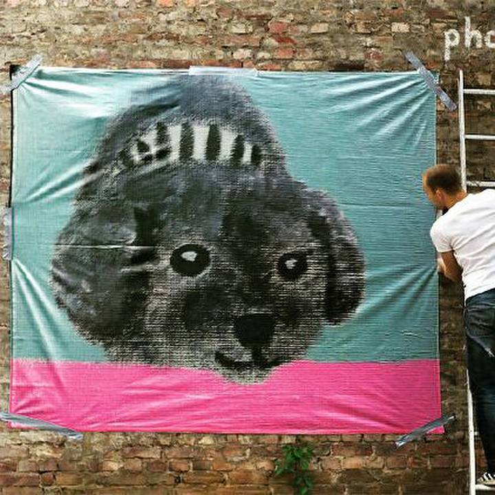 56668789 728a 4be5 a985 781ee7bde4be