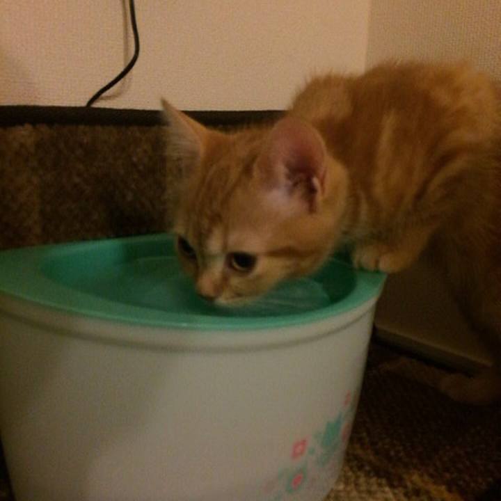 5667263d 01f1 4bc1 8109 6f2dabed9f70