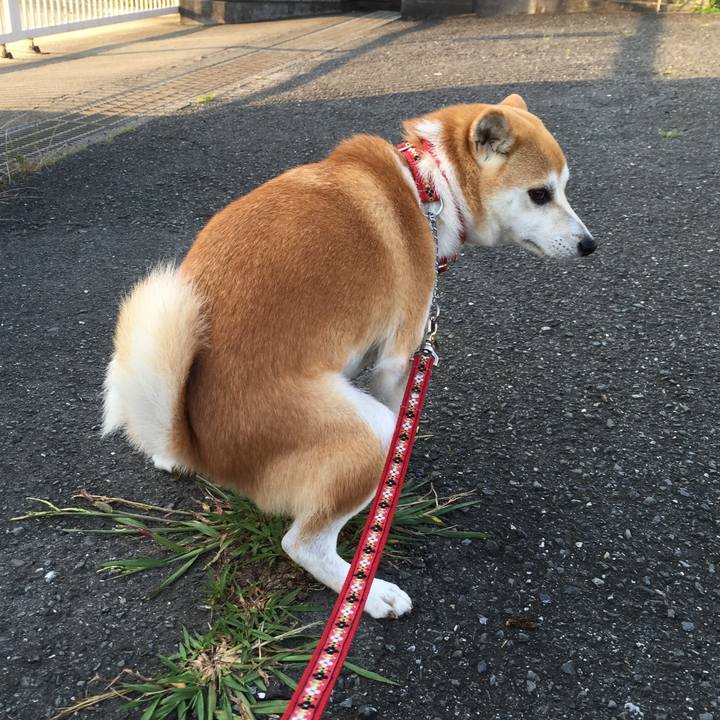 566772c0 abe8 43d8 b011 6c59d01a5fef