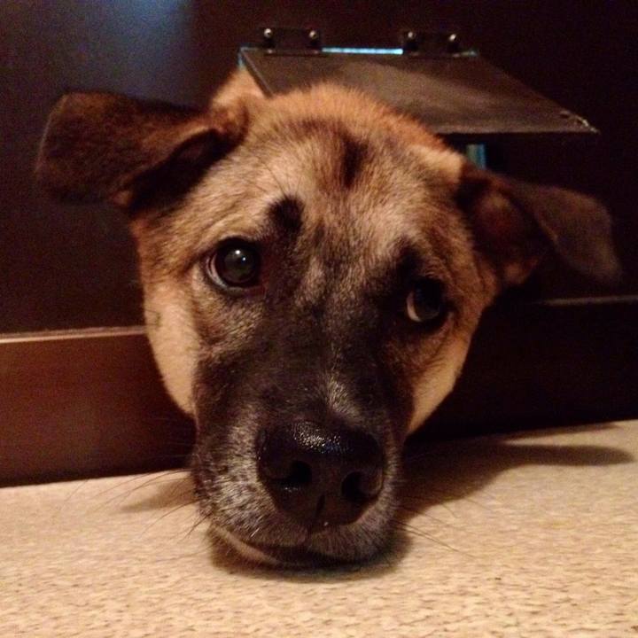 5668096d 2008 41b6 a65e 9ebadbf21edb