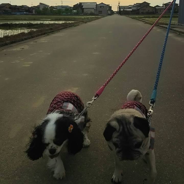 5669b2e3 4e47 4b4b b103 9bde565a6a20