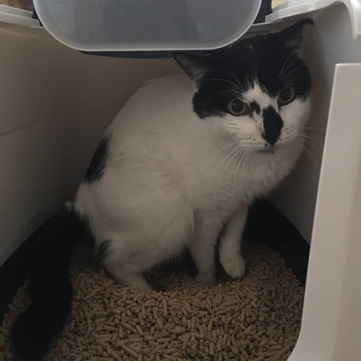 566a3eae daf8 4f8f bf94 68f49738cfff