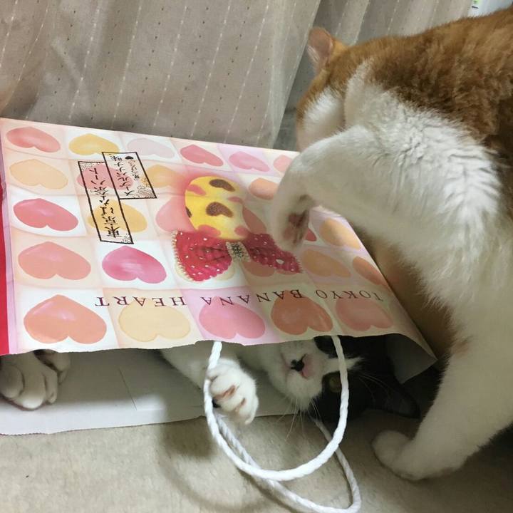 566a9d27 aa7f 4a8f 94a1 82f0b5363883