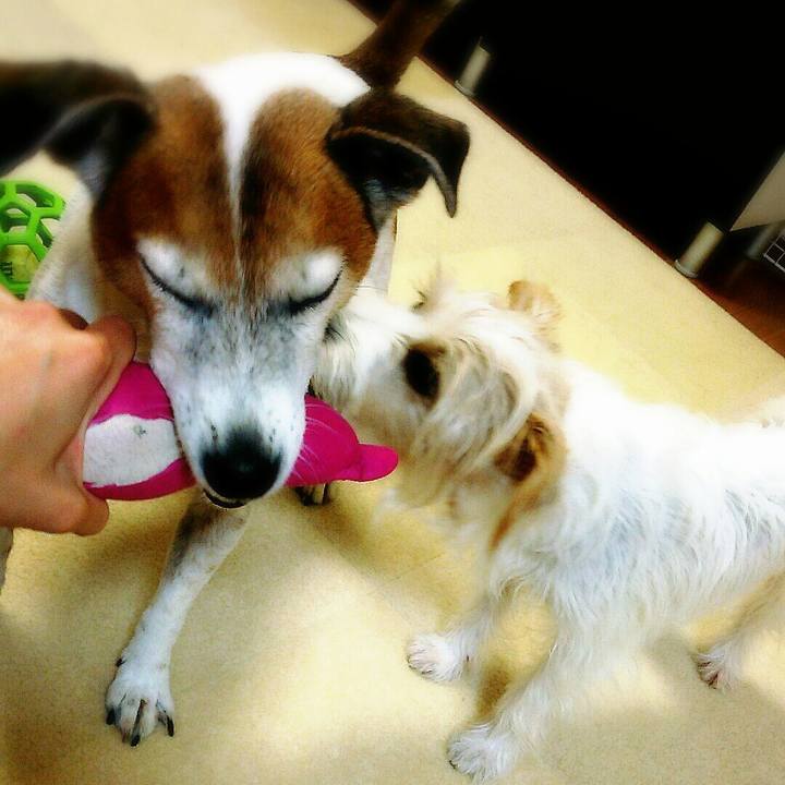 566ac011 0c42 4bb4 9d92 bfda01af5cb7