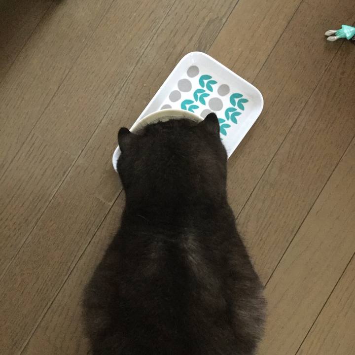 566ba72d 66a6 4eeb a6f5 783db6051d0d