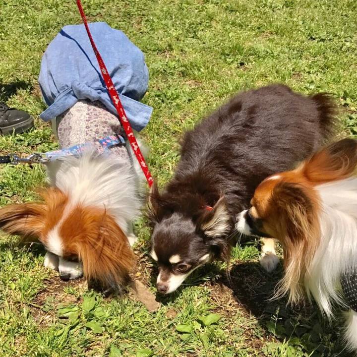 566c7687 3eda 4216 95f4 9e3119bb7ca0