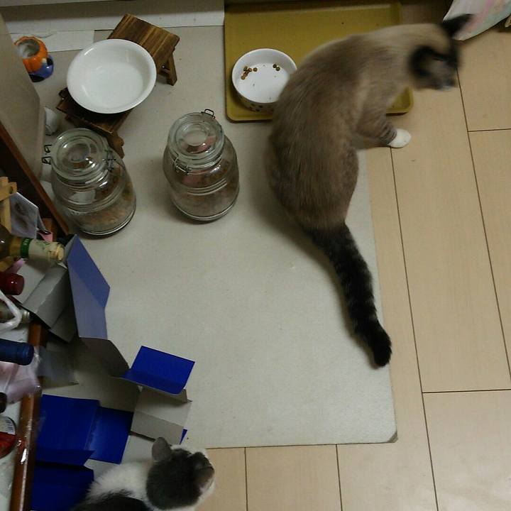 566c9c43 e4e9 4520 ad76 4536b596741c