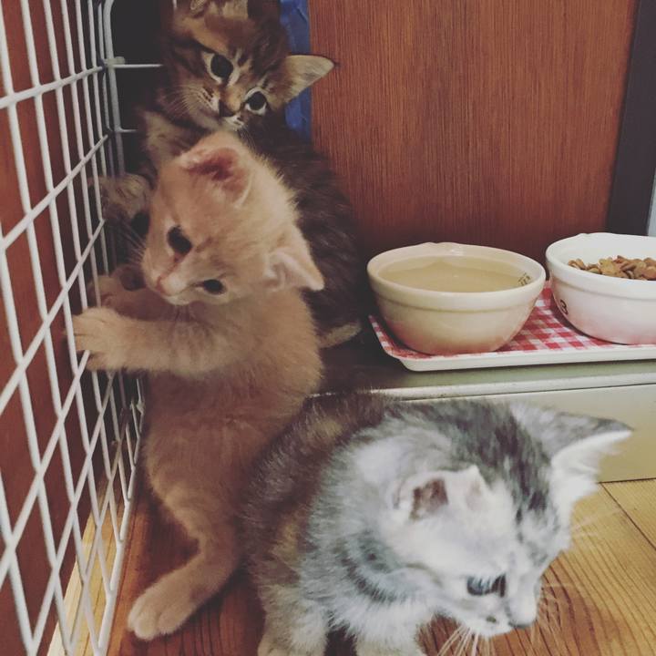 566cd67a 3dbf 401e acdf a269e1515686