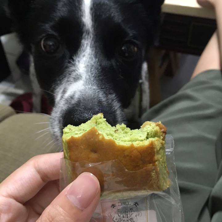 566dad5f fa87 43fe 8304 d1ba64080911