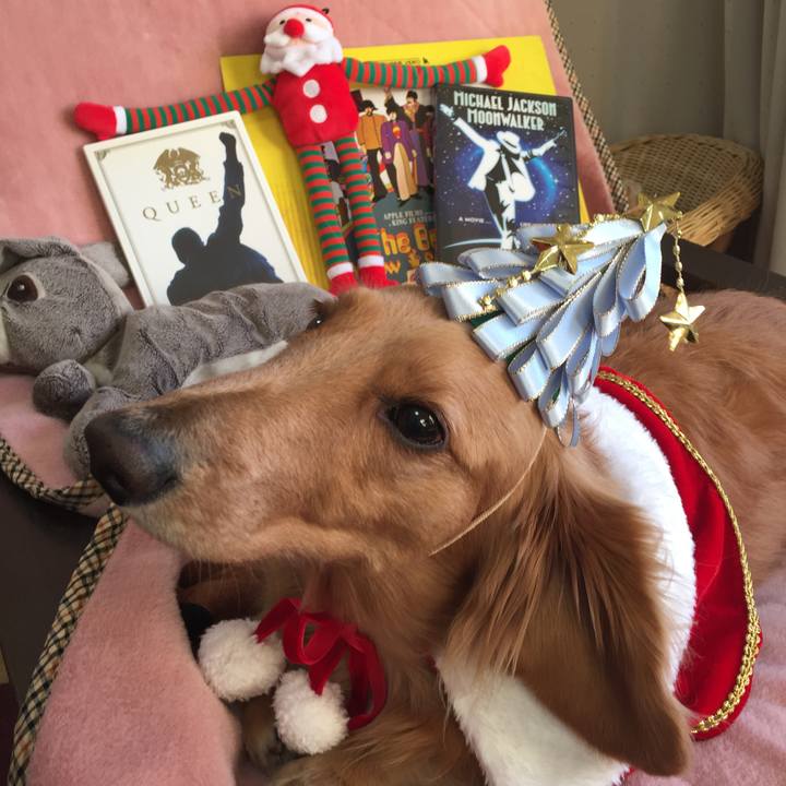 566db8bb 87fd 42e5 8078 80ddda1acd2a