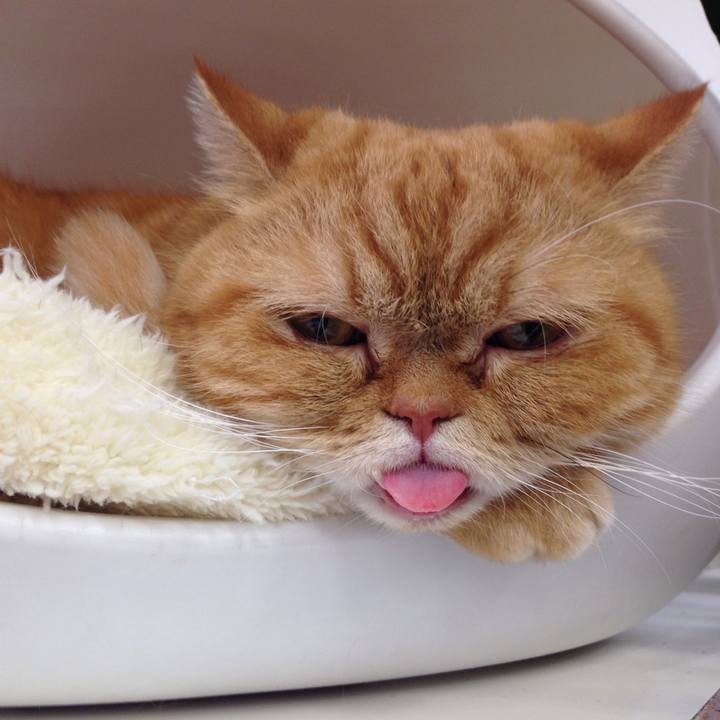 566dcadf 2df8 47a6 8346 ffa1c5a016ea