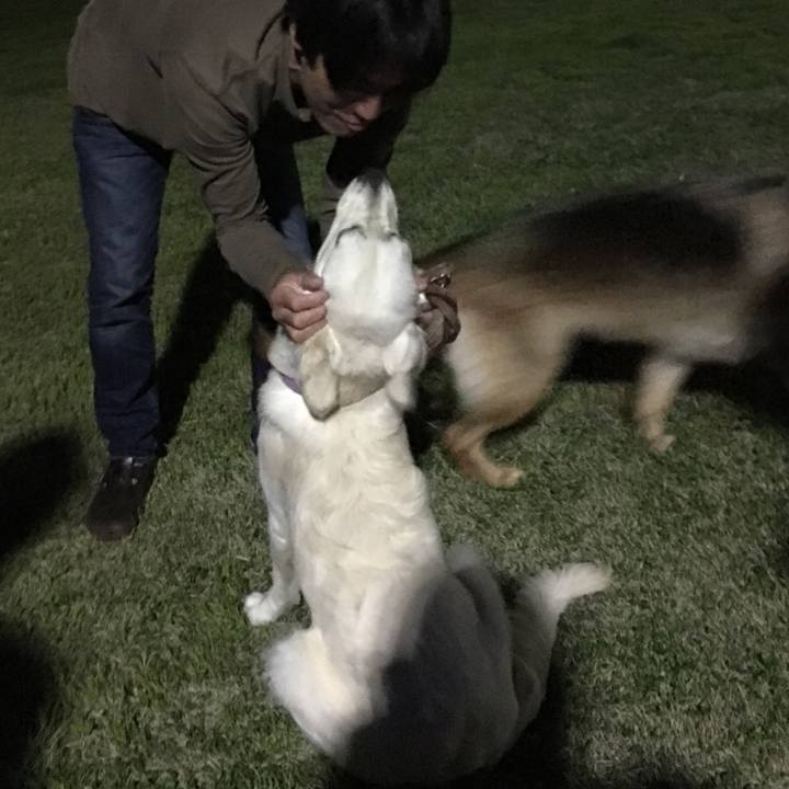 566dcf10 6679 4189 8119 424c8863fd04