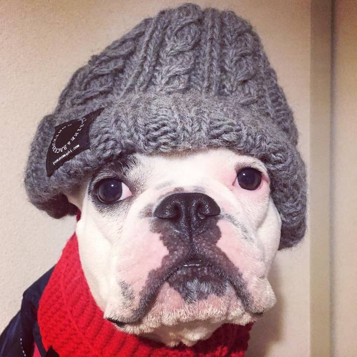 566e8928 f220 4512 a4e4 0dece86e8eea